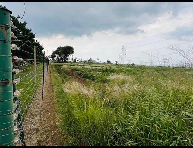 FARM FOR SALE IN BLUE HILLS